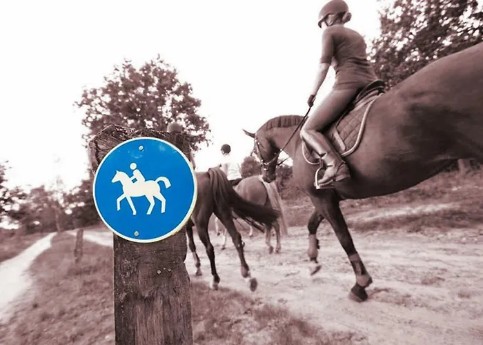 Apartman Intergo Brackel